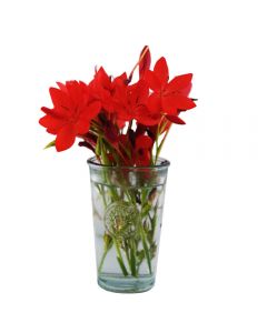 Grehom Recycled Glass Vase - Authentic Clear